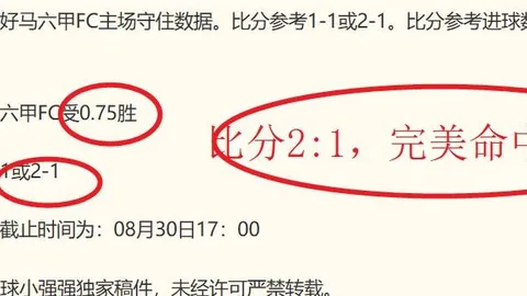 美国监管机构深入调查比分直播：英伟达与合作授权协议内幕